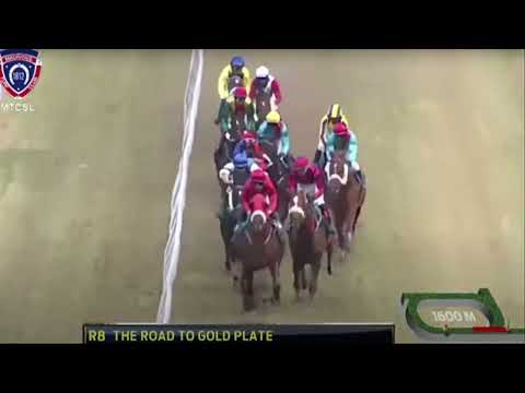 21eme journée - Race 8 - Opague