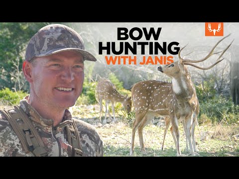 Bow Hunting Axis Deer with The Element and Janis Putelis