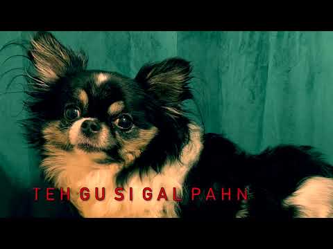 TEH GU SI GAL PAHN LIVE! AT SPEAKEASY 10/02/2024