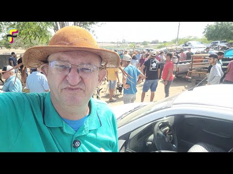FEIRA DE ANIMAIS EM BOA VISTA-PB - 11/10/2025