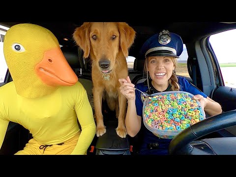 Police Surprises Rubber Ducky & Puppy with Car Ride Chase!