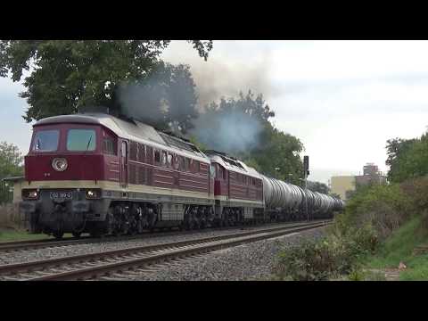 Sonniger September - Mit der BR 232 von DB Cargo und LEG dem Herbst entgegen.