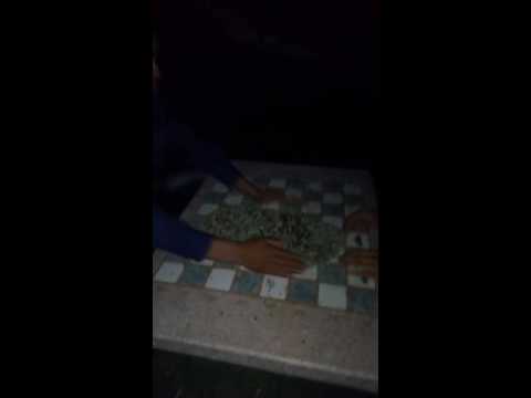 Andrei Onofrei. Vs.Gigi