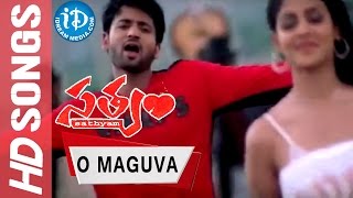 O Maguva Video Song - Satyam Movie || Sumanth || Genelia || Nagarjuna || Chakri