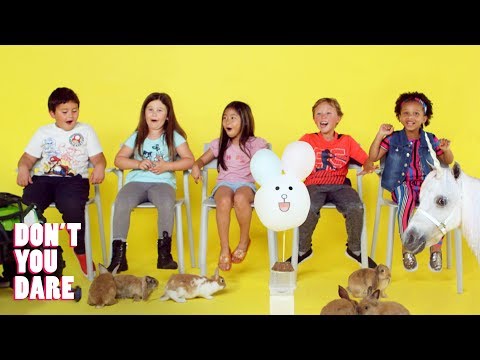 ダンクタンクとユニコーンで「動かない」に挑戦！｜Don You Dare｜ハイホー・キッズ| ダンクタンクとユニコーンで動かないことに挑戦しました！｜ダンクタンクとユニコーンで動かないことに挑戦しました｜HiHo Kids