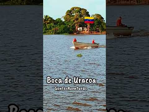 BOCA DE URACOA