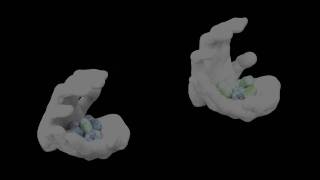 RUFUS WAINWRIGHT - SLIDESHOW