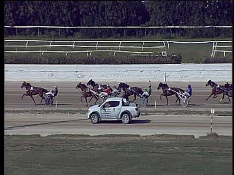 Trotto 13/09/2019 - 2ª corsa