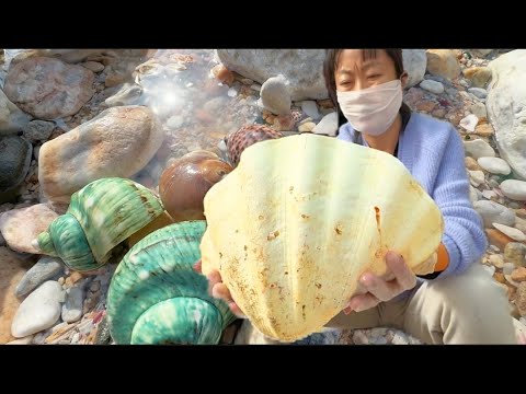 A huge sea shell. You can imagine how big the pearl is inside it.