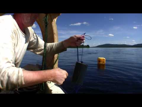 Industrifiske i Vilhelmina