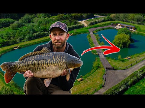 Lake Exclusive | Mark Pitchers| Carp Fishing Rewind