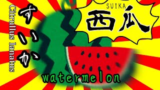 すいかの名産地