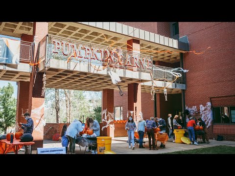 image-How much does it cost to go to Auburn for 4 years?