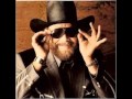 Hank williams jr. country state of mind.