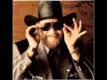 Hank williams jr. country state of mind. 