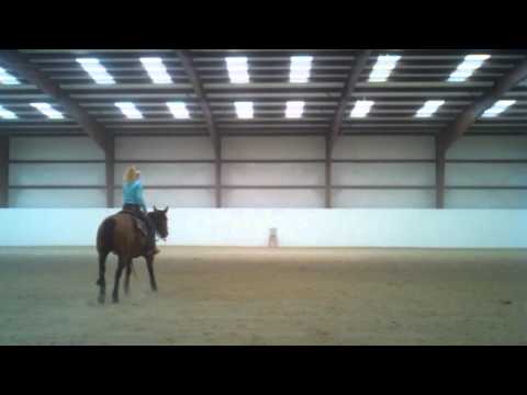 Mizzen Uno BIG STOPPING NRHA money earning mare in Utah