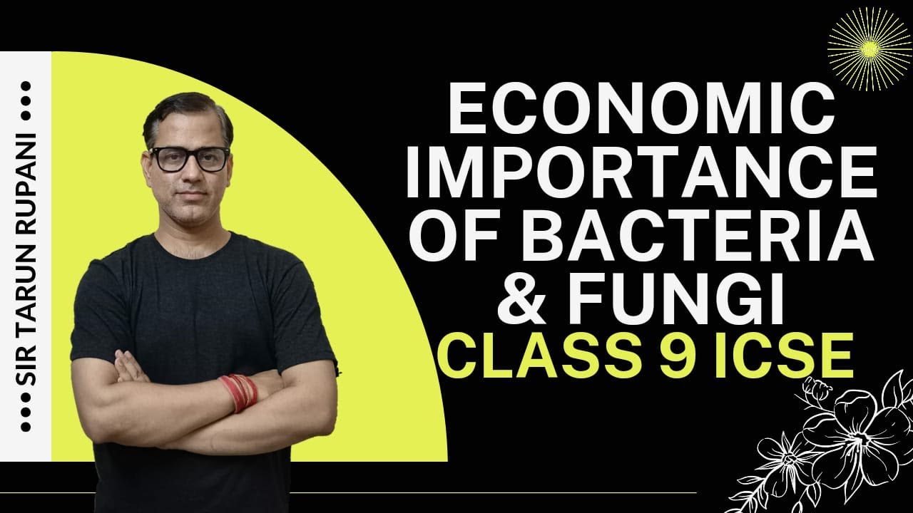 Economic Importance of Bacteria and Fungi ICSE Class 9 | Bacteria and Fungi | @sirtarunrupani