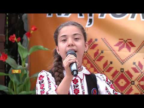 GHIP MARIA  IONELA  -  A PLECAT MOȚUL IN ȚARĂ