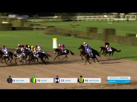 Velká Pardubická 2024