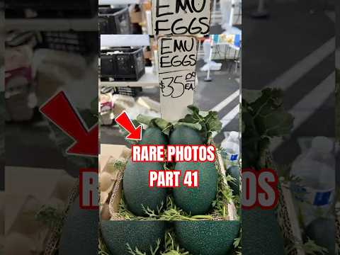 Rare Photos That You've never Seen | Part 41 #rarephotos