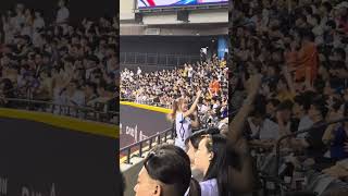 【CT AMAZE】#Jessy 日本VS台湾@台北大巨蛋20241116 #台湾チア #cheerleading #amaze #啦啦隊 #premier12 #台灣尚勇