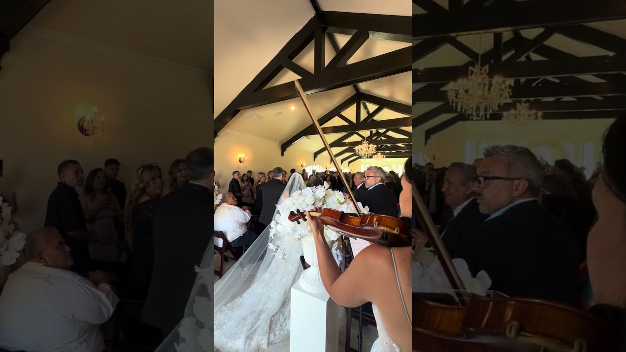 Promotional video thumbnail 1 for Alma Elegance Violin
