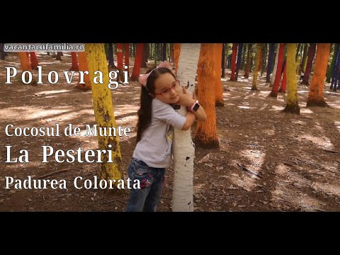 Baia de fier Polovragi la Pensiunea Cocosul de Munte si La pesteri