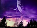 George Winston -  Alone