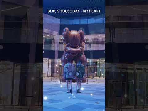 BLACK HOUSE DAY - My Heart #shorts