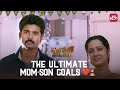 Will Sivakarthikeyan And Sri Divya Solve Their Love Problems Kakki Sattai Full Movie On Sun NXT