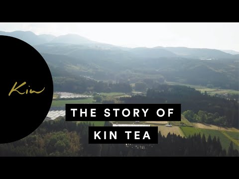 The Story of Kin Tea