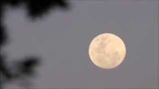 NOVMBER 6th FULL MOON/ UFO  RISING NZ