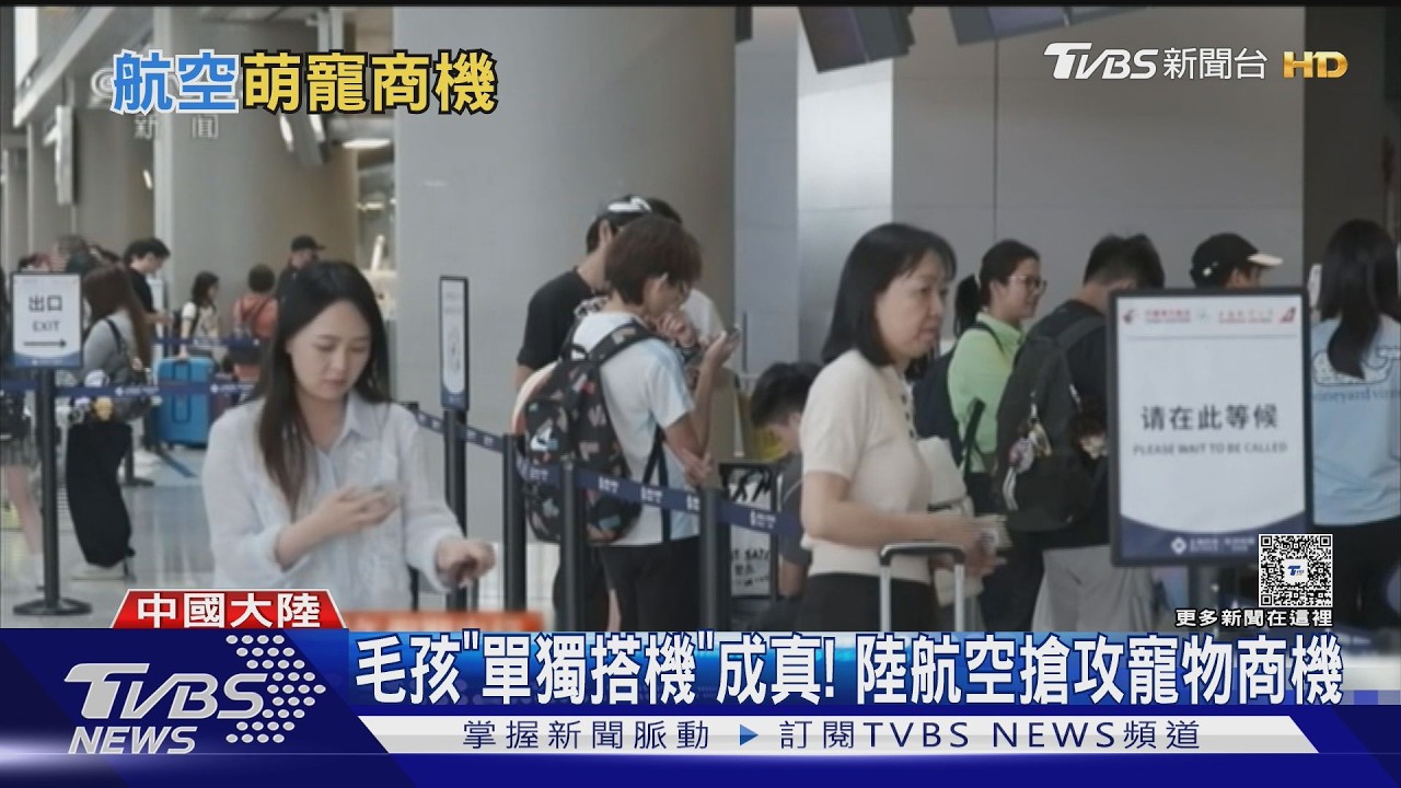 讓毛小孩「單獨搭飛機」成真! 陸航空搶攻寵物商機