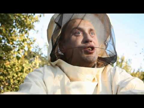 Галилео - Пасечнег, пчёлы и мёд