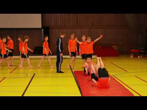 5. - 6. fl. dreingir