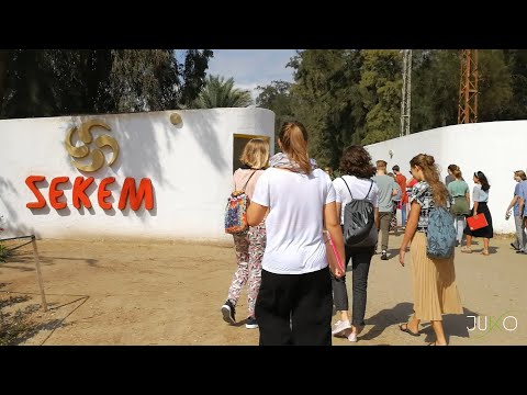 JUKO goes Egypt - Highlights unserer Chorreise