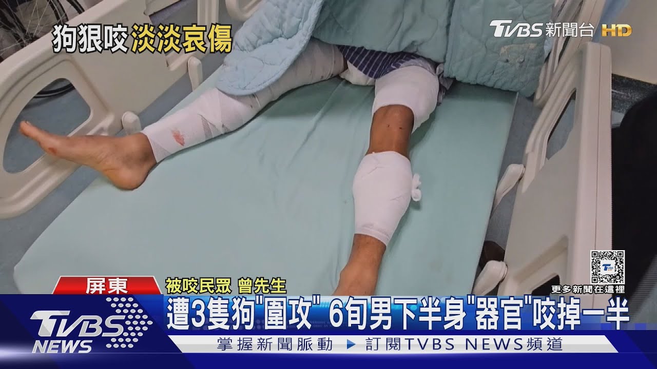 6旬翁高屏溪畔運動被狗攻擊! 下半身「器官」慘遭咬掉一半