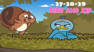 Toddler learning videos | Bird and Kip: 37-38-39