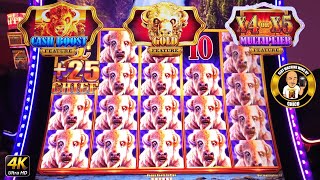 Big Buffalo Slot Machine Surprise Win!