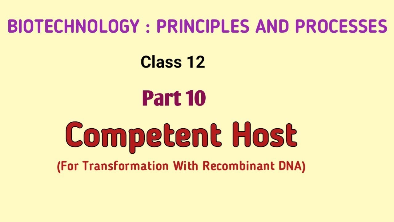 Competent Host ( for transformation with recombinant DNA) I Biotechnology principles and processes