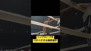リングロープをペチペチする梅野選手