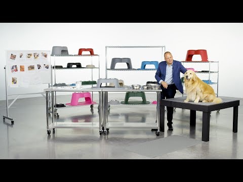 David MacNeil: The Making of the PetComfort Feeding System