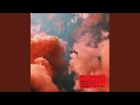 Dvbbs Somebody Like You Feat Saro