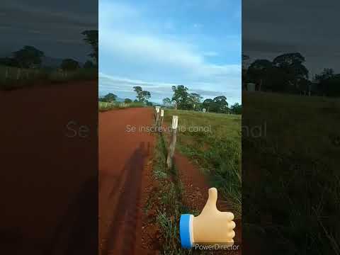 Momentos gratificantes de uma  pedalada. #recompensa #bike #liberdade #animais #cycling #natureza