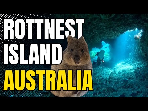 Scuba Diving Rottnest Island 🇦🇺