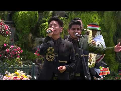 Sentimiento del Ande - Cariño Lindo (Tunantada) (En Vivo desde Canto Andino)