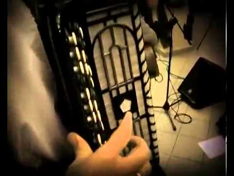 Цвіт Кульбаби - Катерина***tsvit kulbaby- kateryna