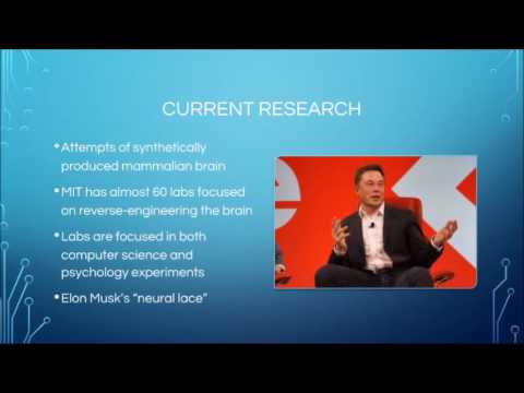 Reverse Engineering the Brain