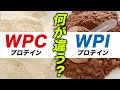 【プチ栄養講座】WPCプロテインとWPIプロテインの違いを解説「ビーレジェンド管理栄養士 堀のプチ栄養講座」【ビーレジェンド プロテイン】
