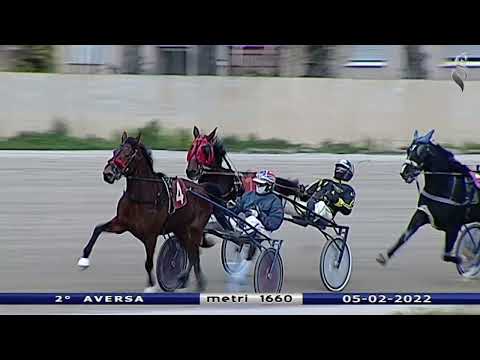 Aversa trotto 5 Febbraio 2022 - 2° Corsa